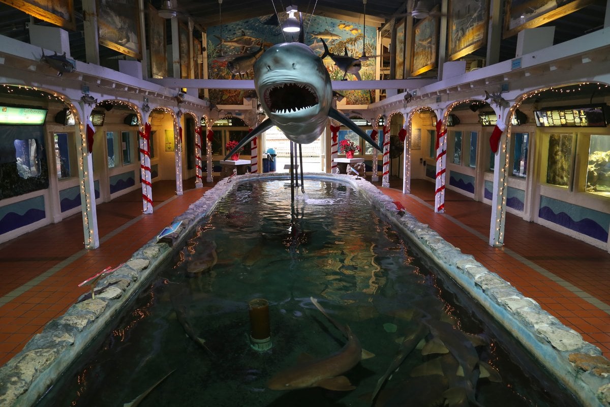 Key West Aquarium - Gallery Image 4
